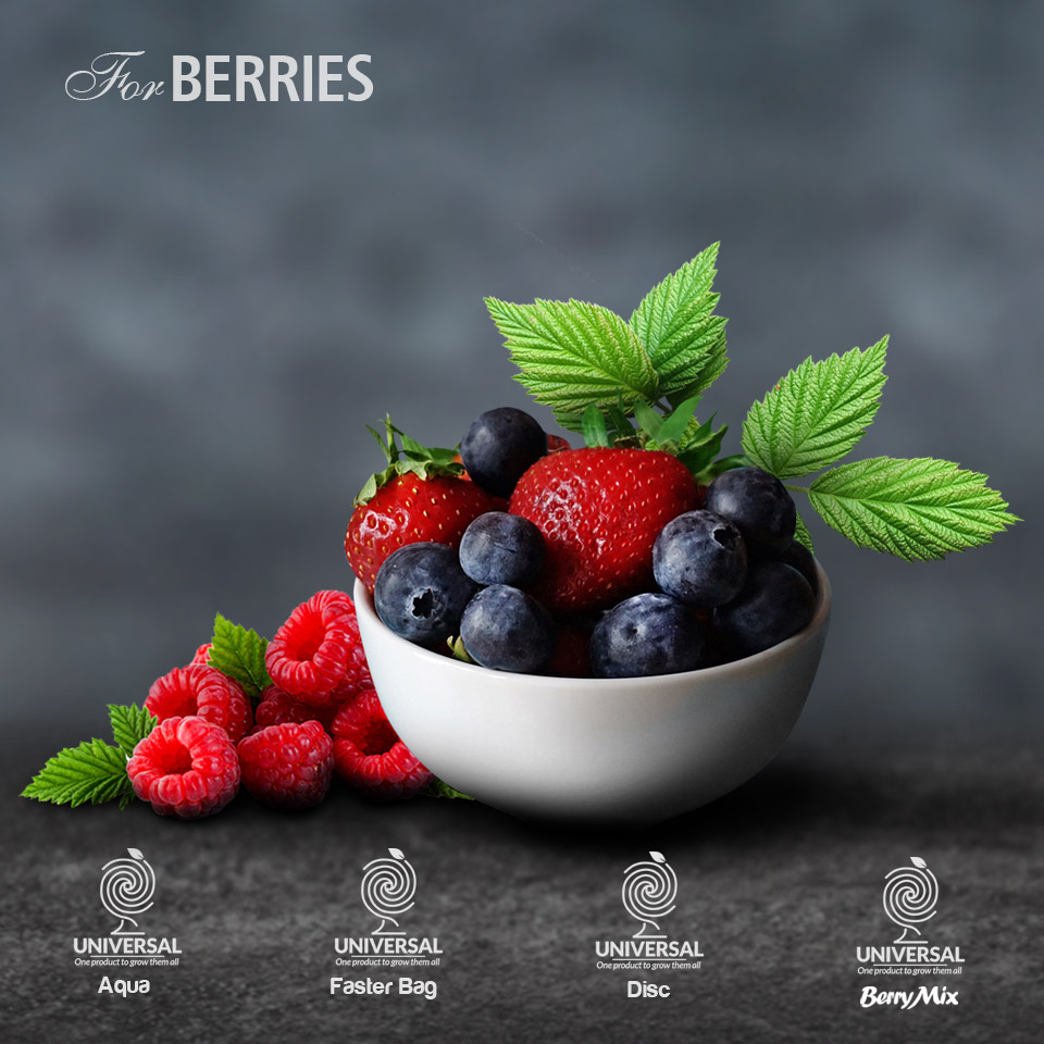 Berries